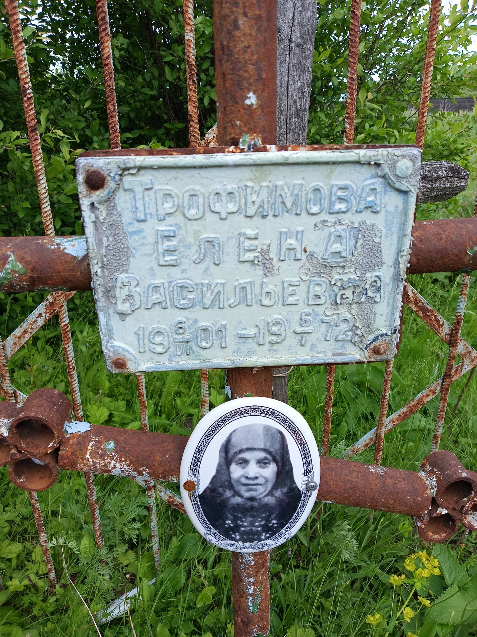 Трофимова Елена Васильевна