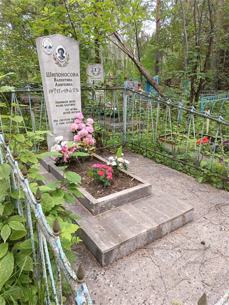 Шилоносов Григорий Михайлович