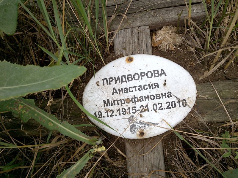 Придворова Анастасия Митрофановна