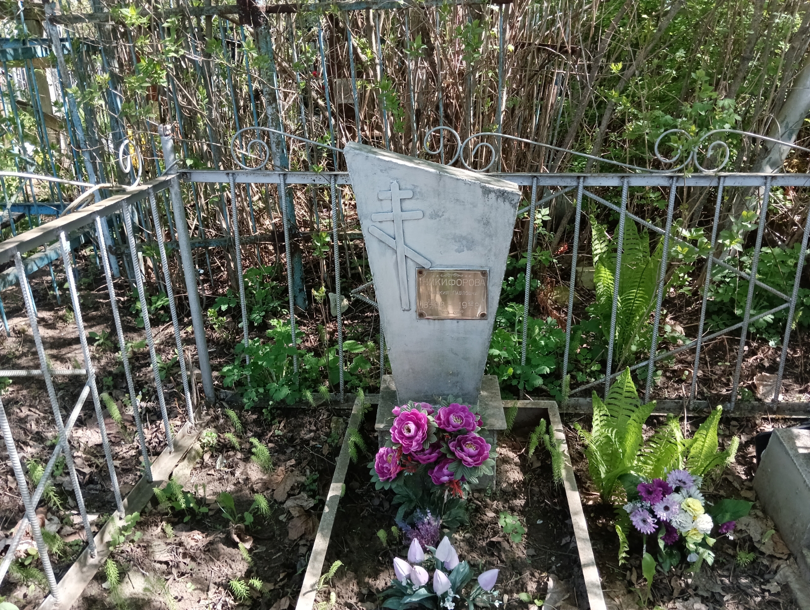 Никифорова Евдокия Павловна