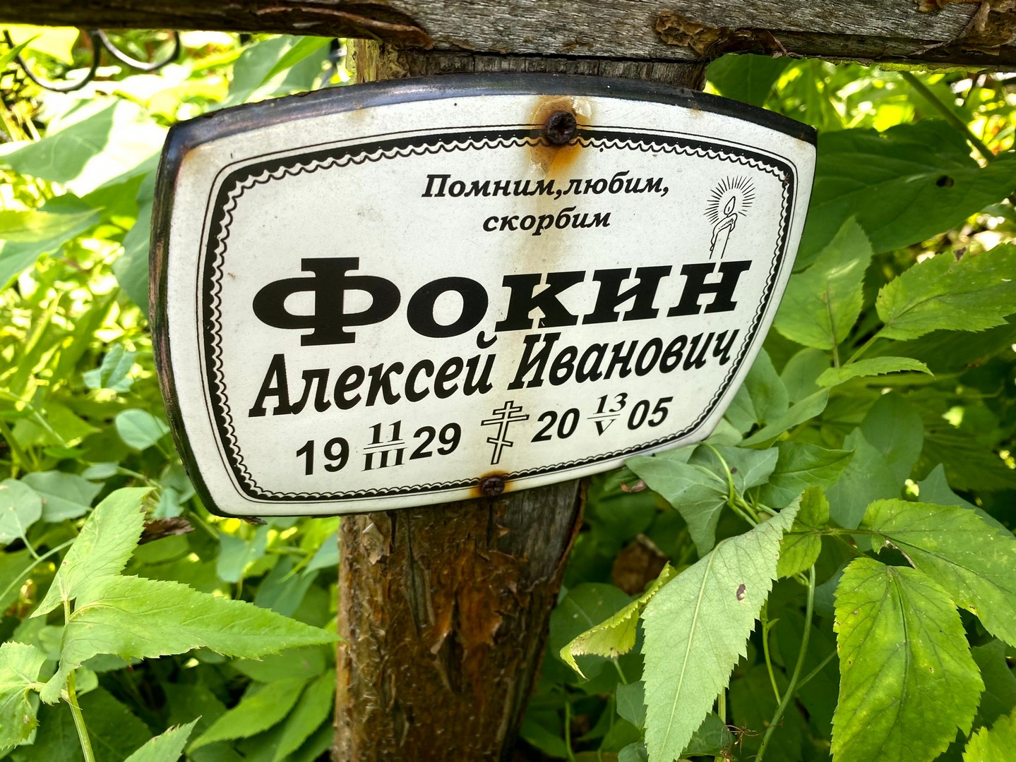 Фокин