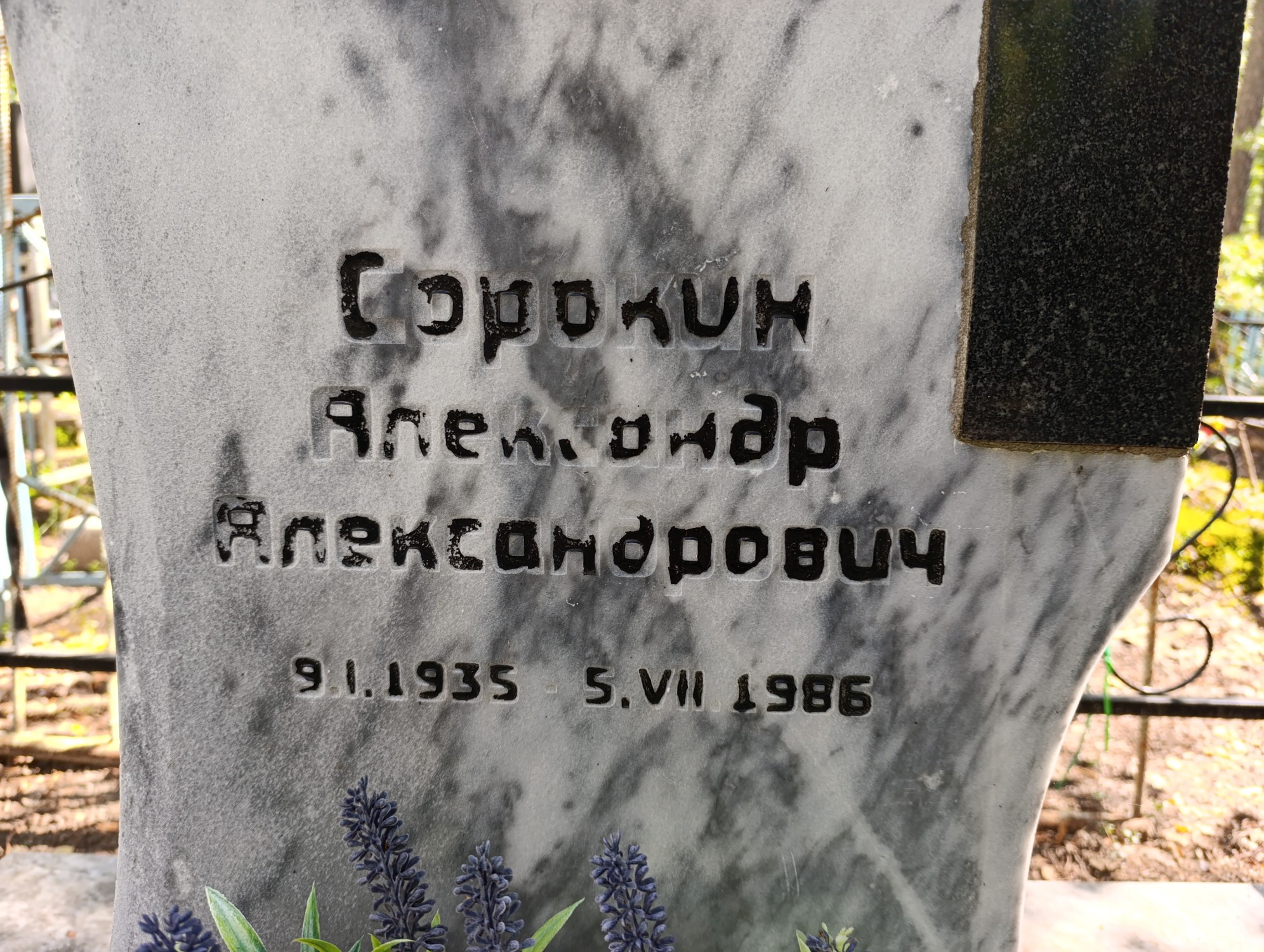 Сорокин Александр Александрович
