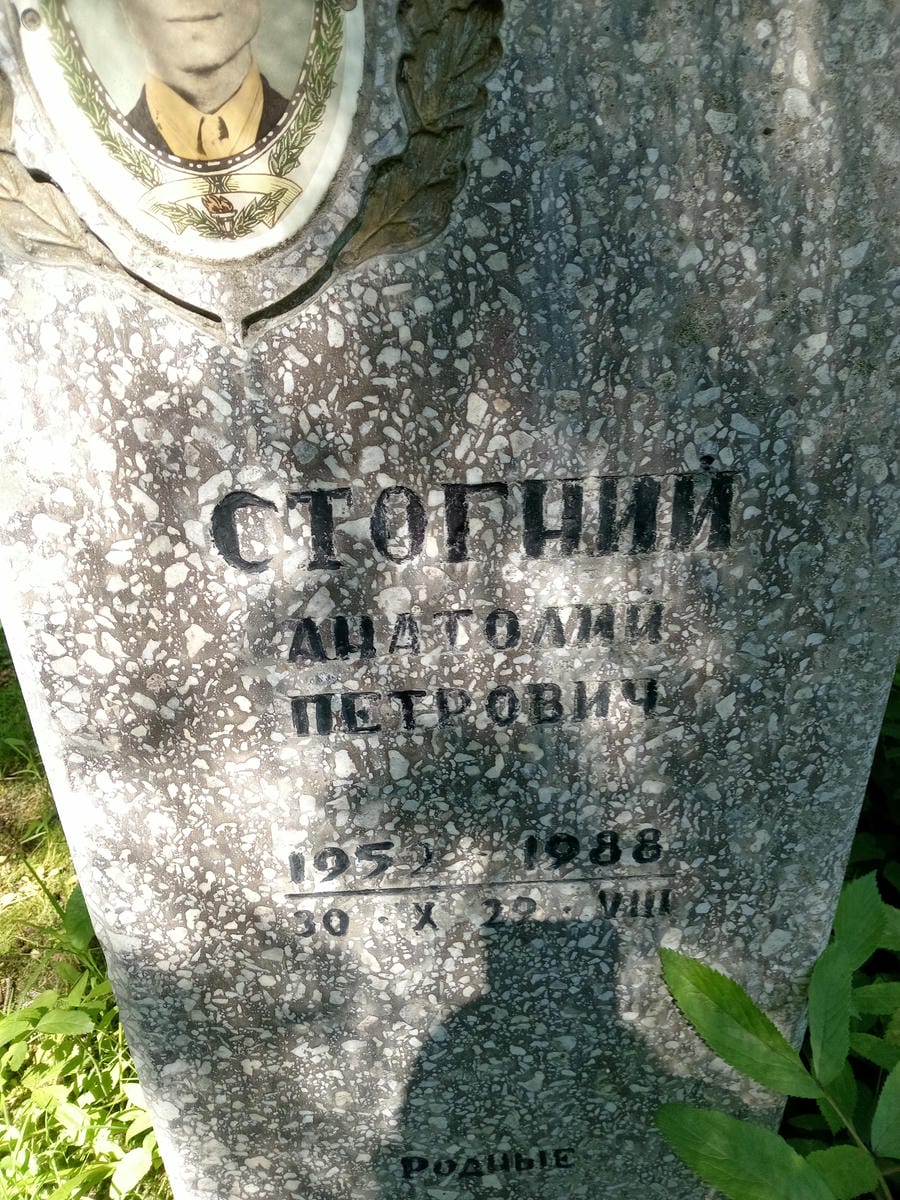 Стогний Анатолий Петрович