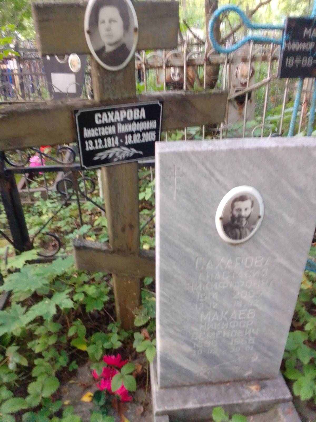 Сахарова Анастасия Никифоровна