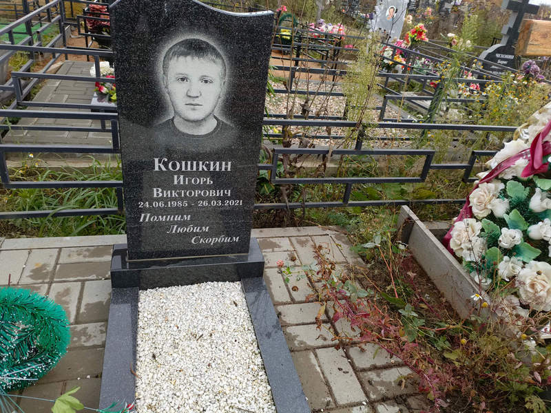 Кошкин
