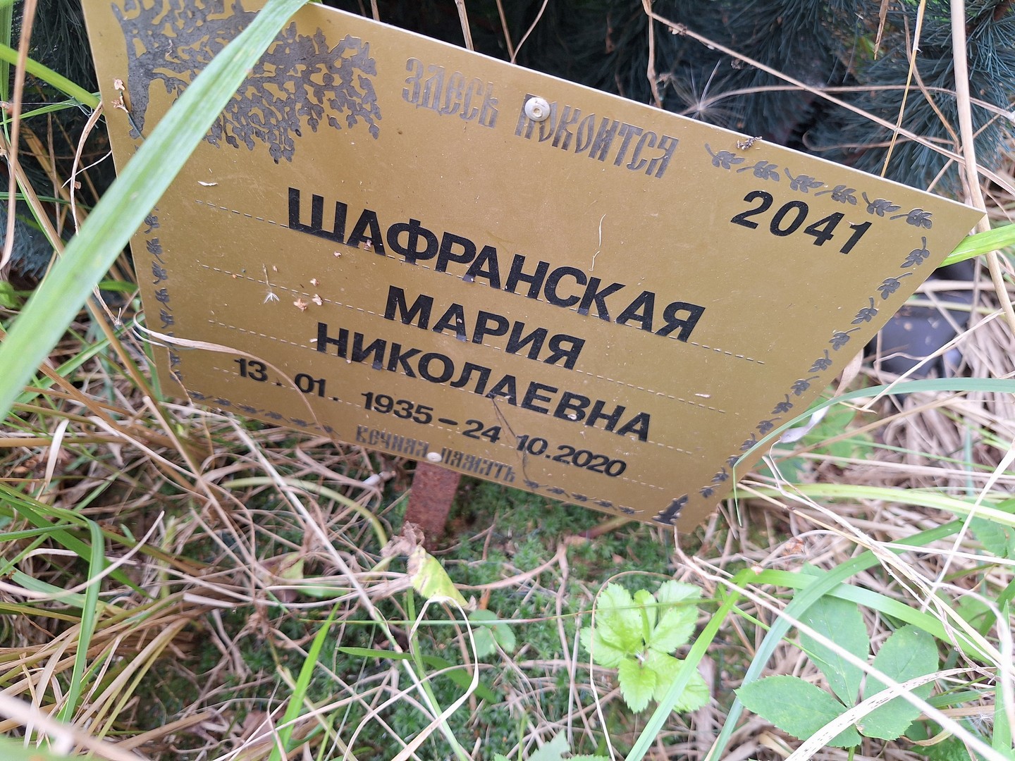 Шафранская