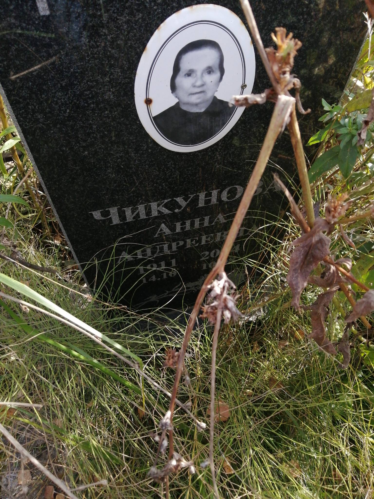 Чикунова Анна Андреевна