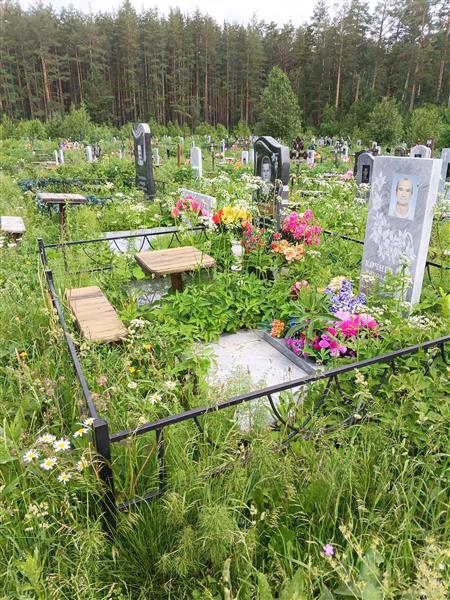 Кочнев Николай Борисович