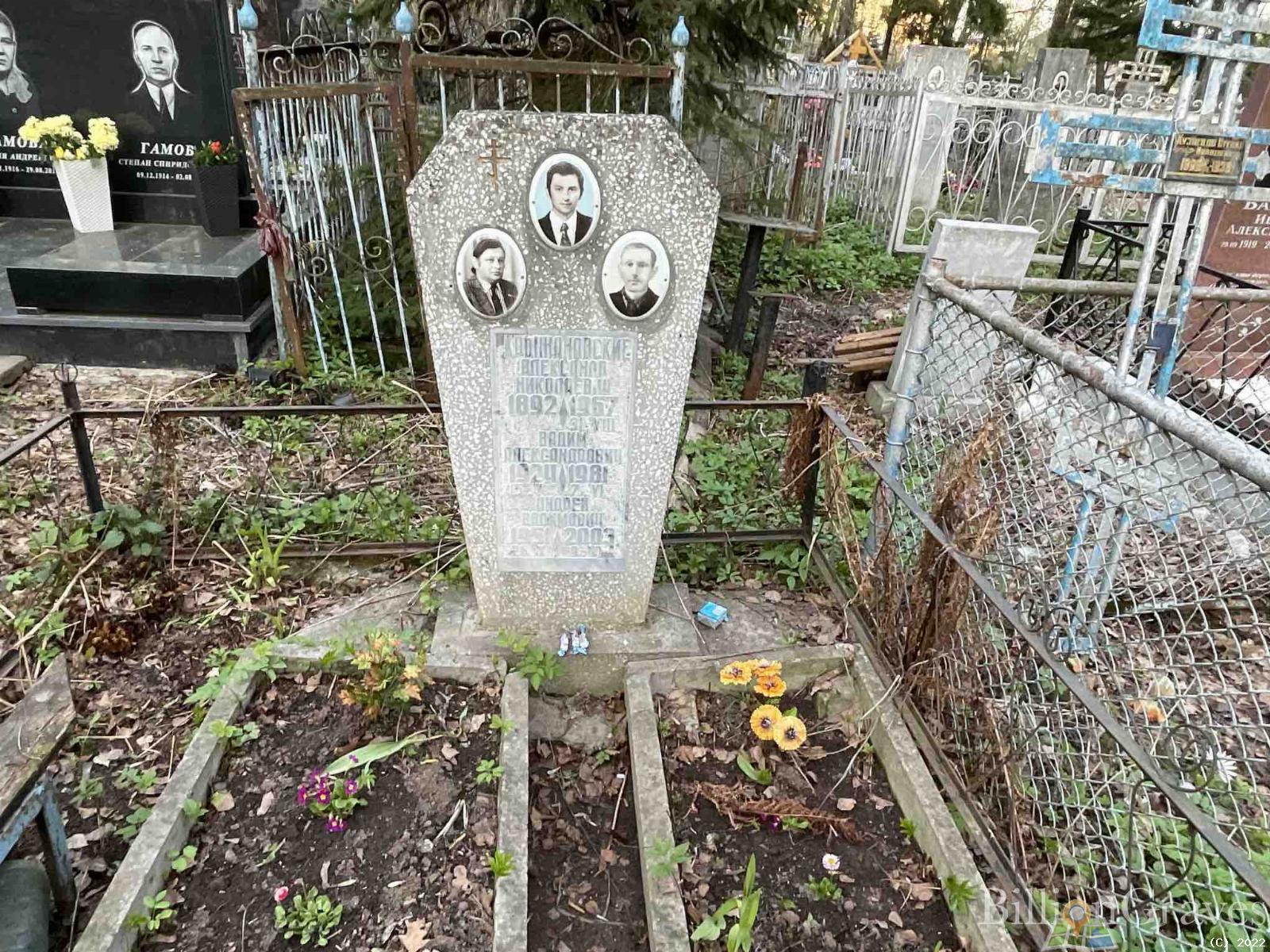 Крыжановский Александр Николаевич