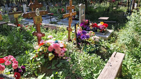 Золотова Маргарита Ивановна