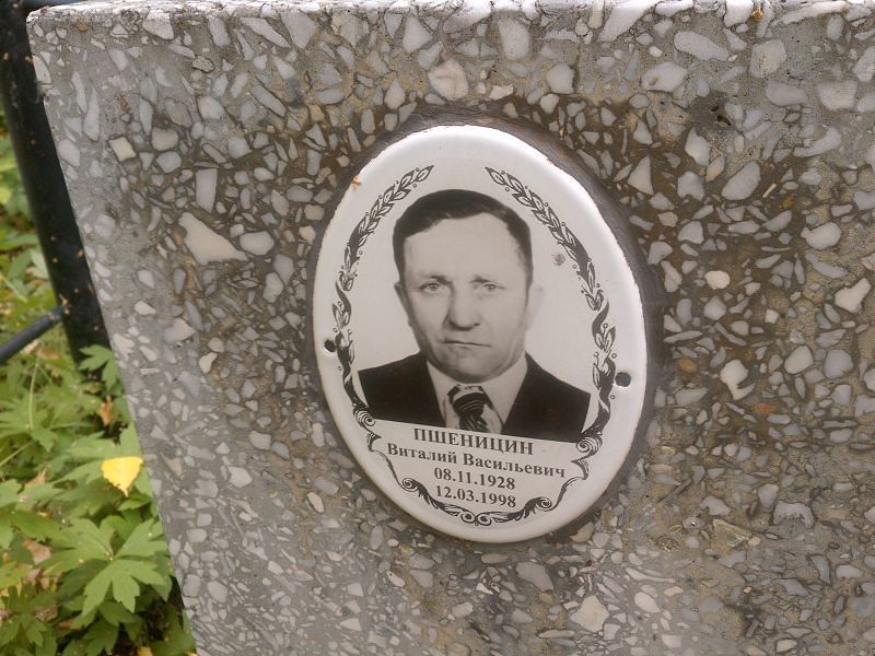 Пшеницин