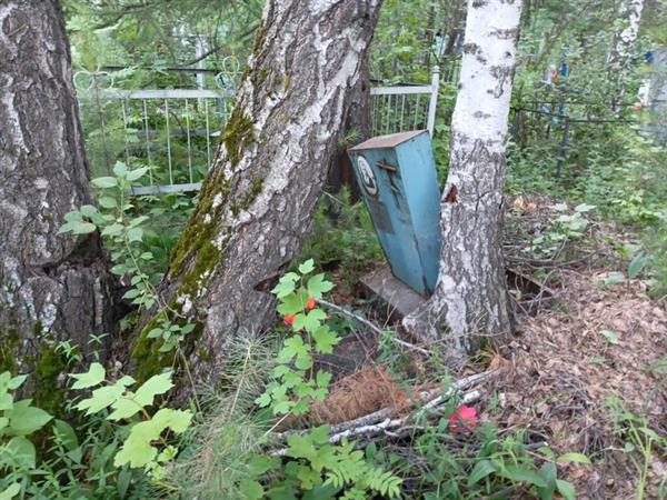 Мальчугова Лариса Дмитриевна