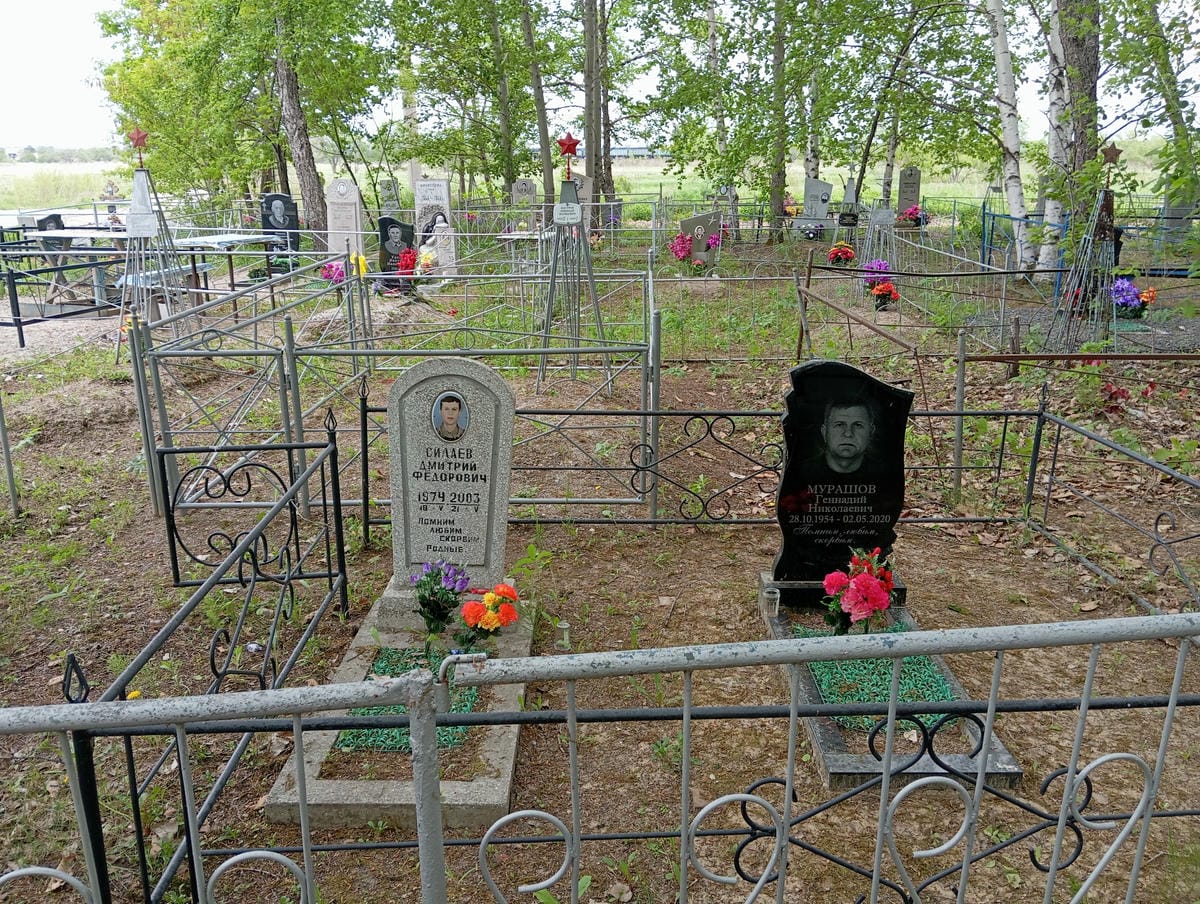 Силаев Дмитрий Федорович
