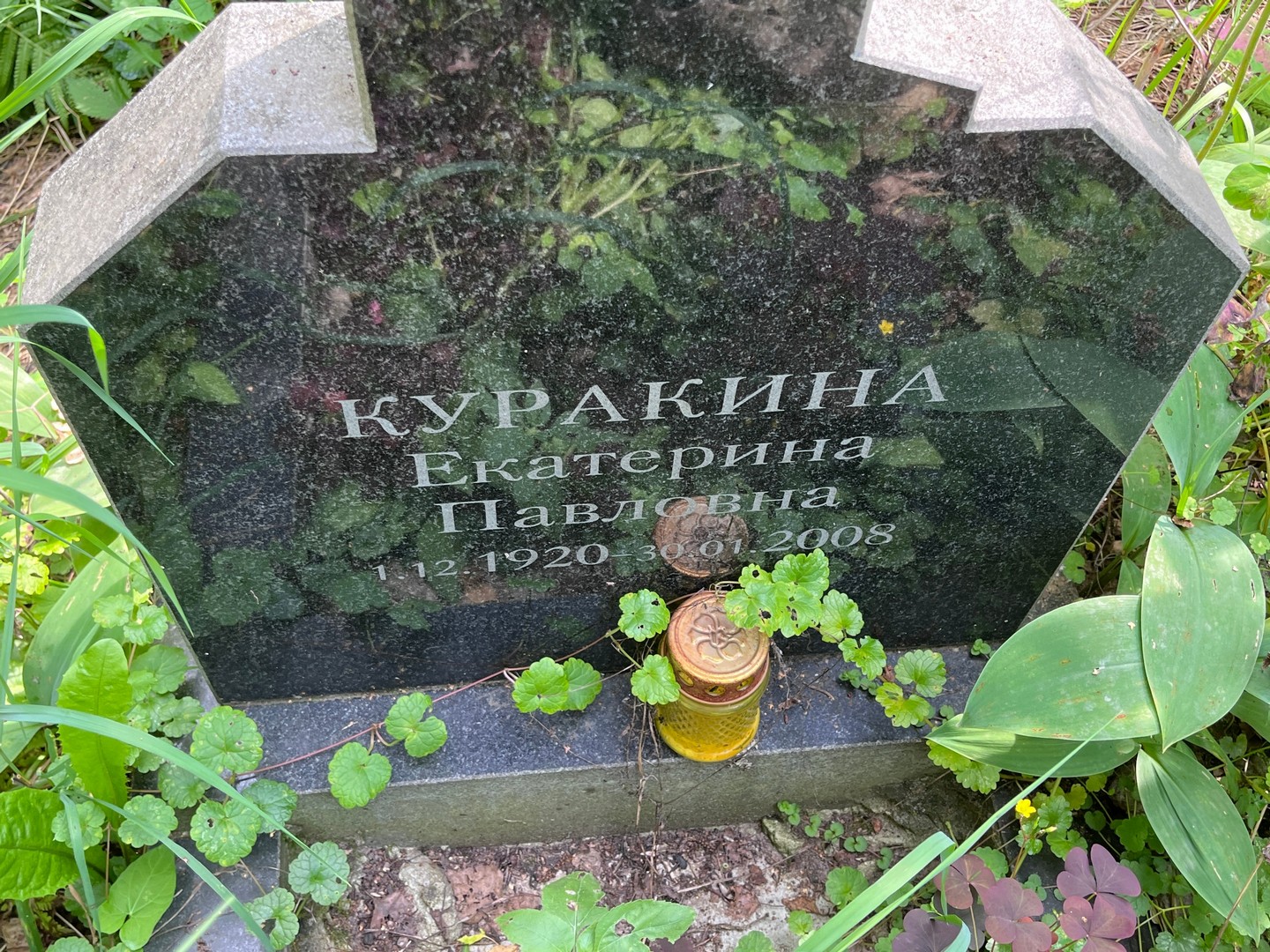 Куракина