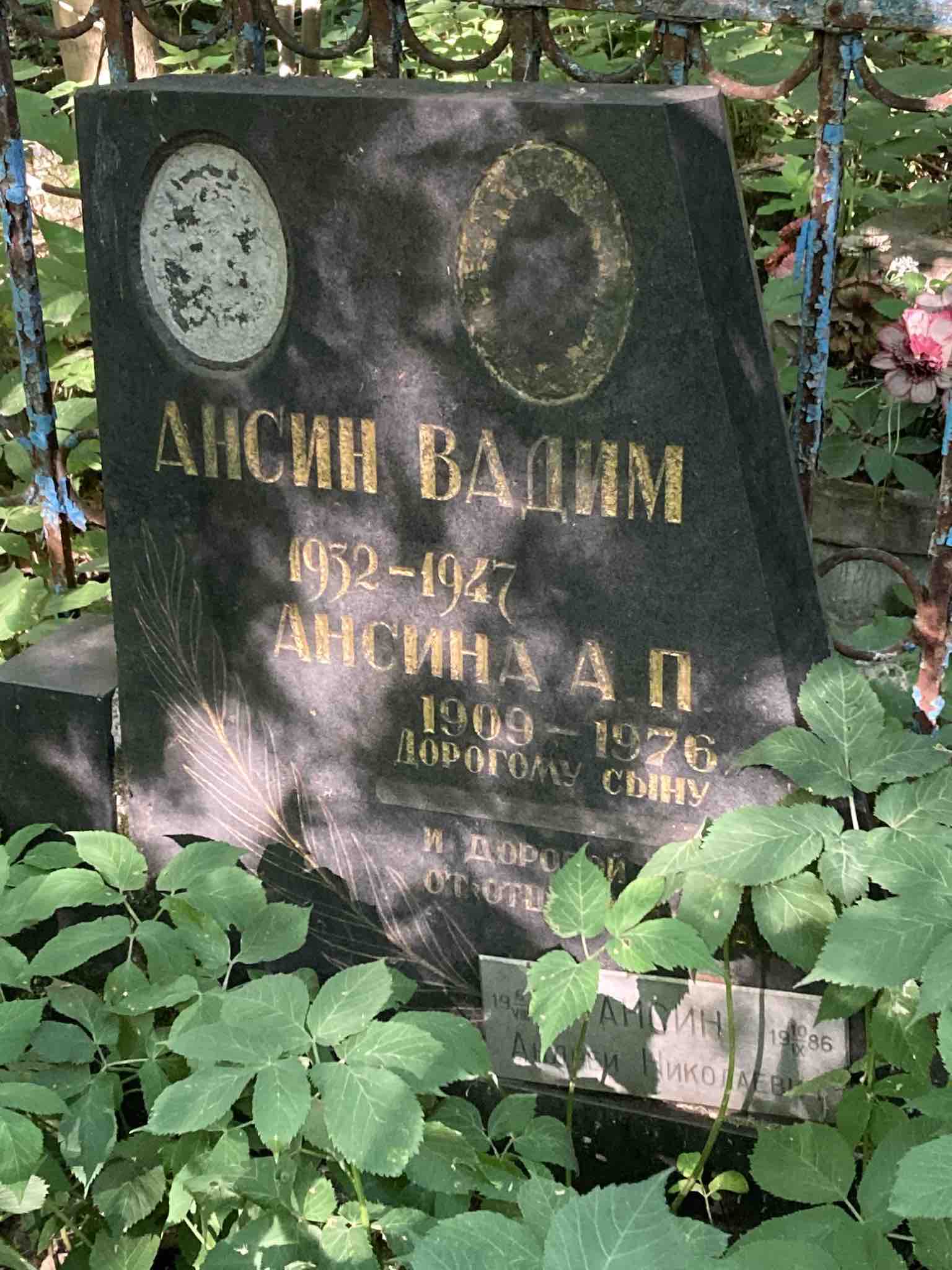 Ансин Андрей Николаевич