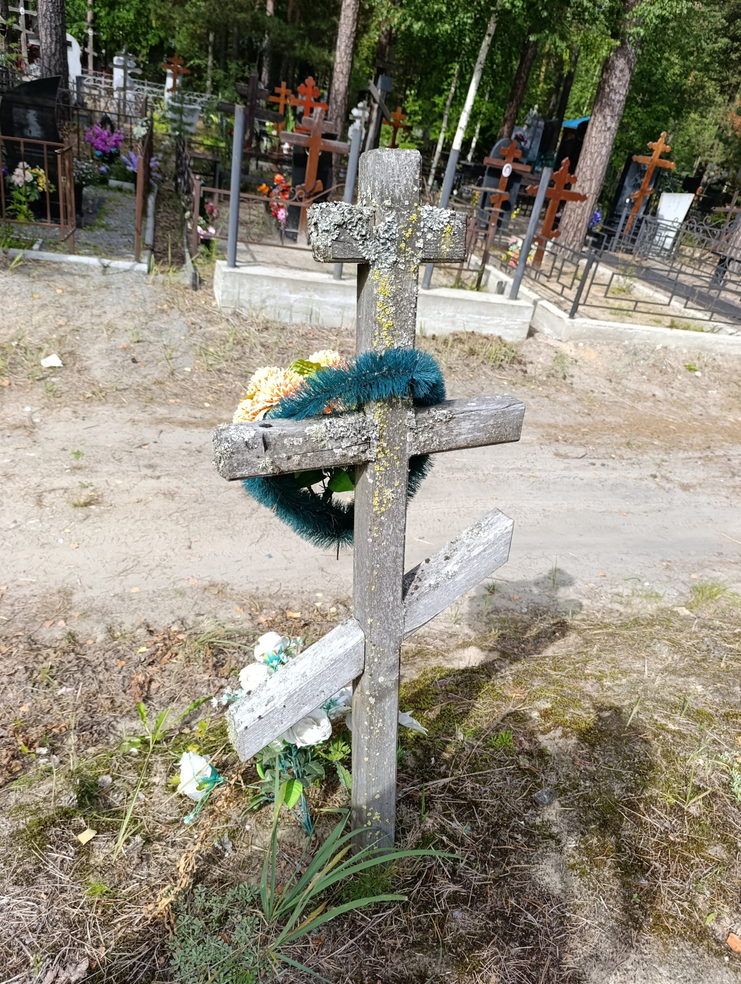 Колчанов М М