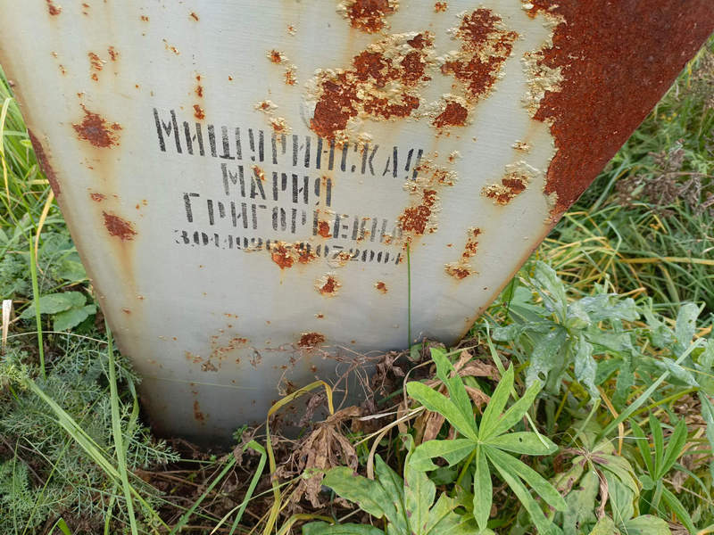 Мишуринская