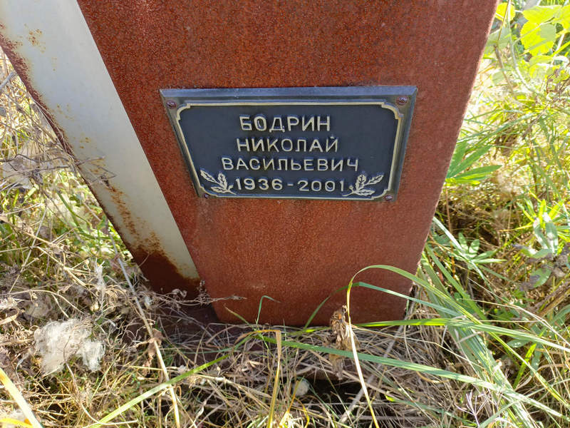 Бодрин