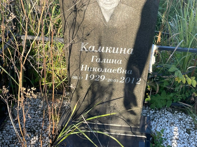Камкина