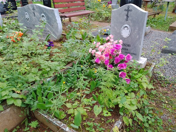 Утков Саша