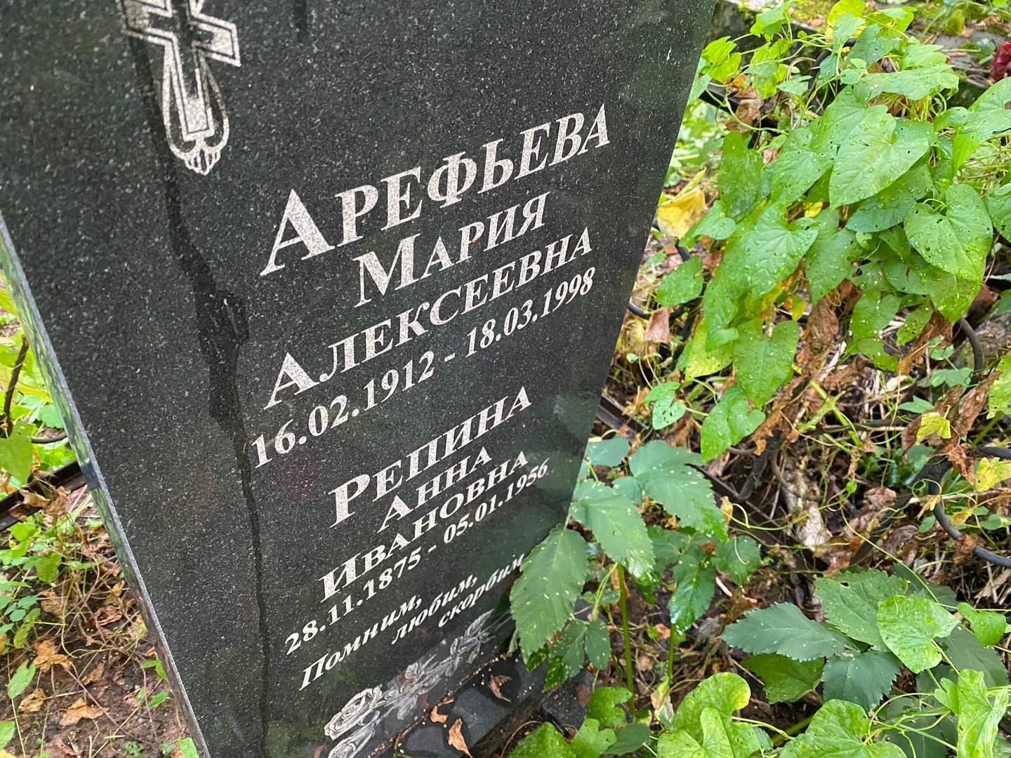 Арефьева