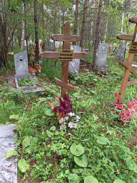 Злобин Александр Михайлович
