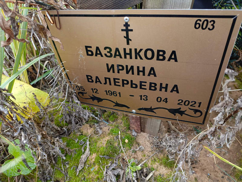 Базанкова