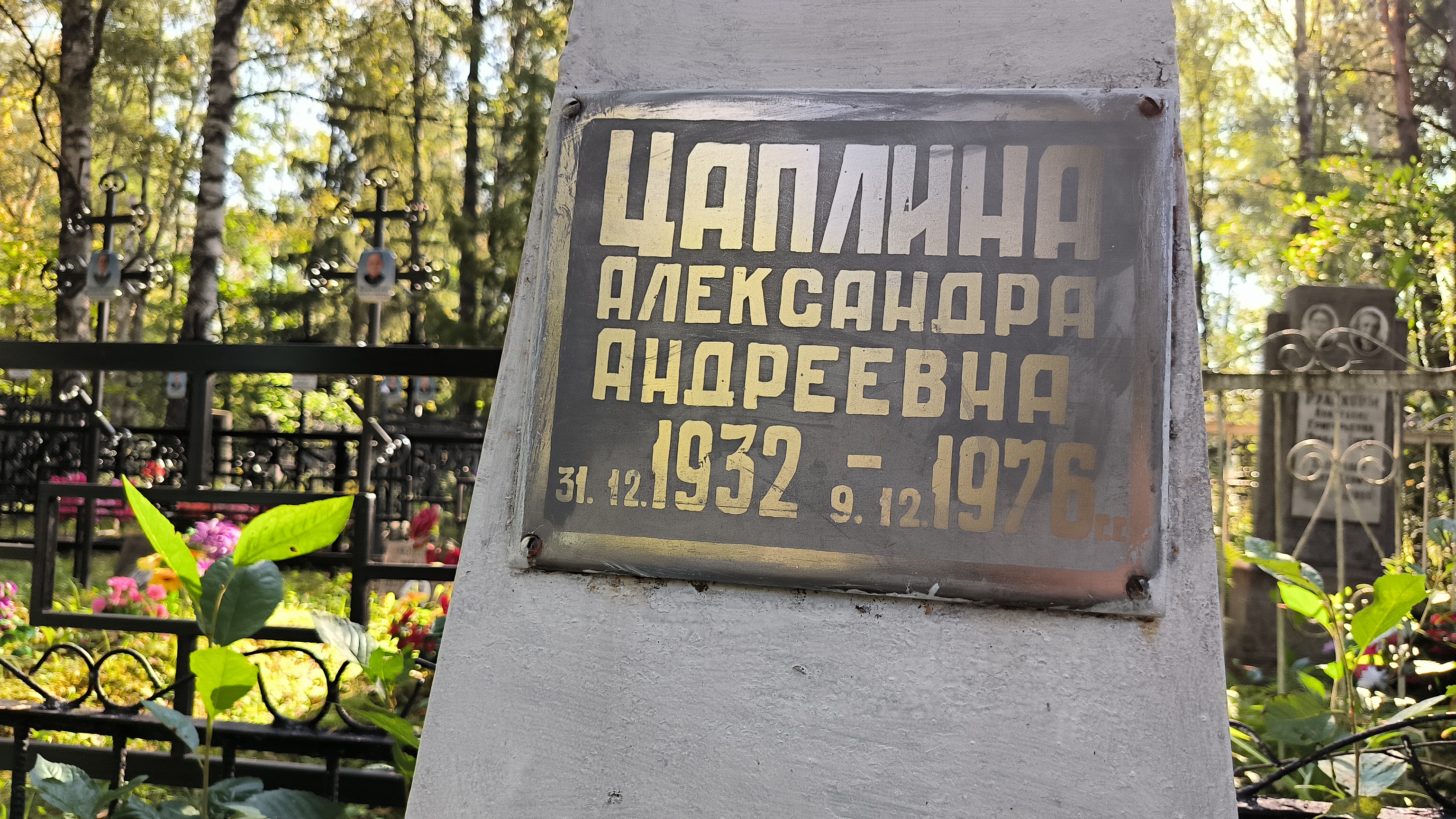 Цаплина Александра Андреевна