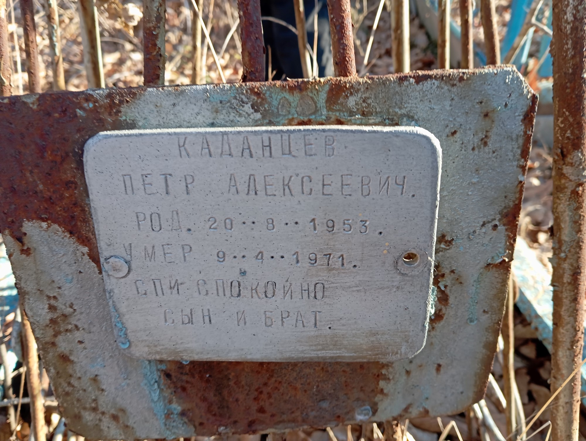 Каданцев Петр Алексеевич