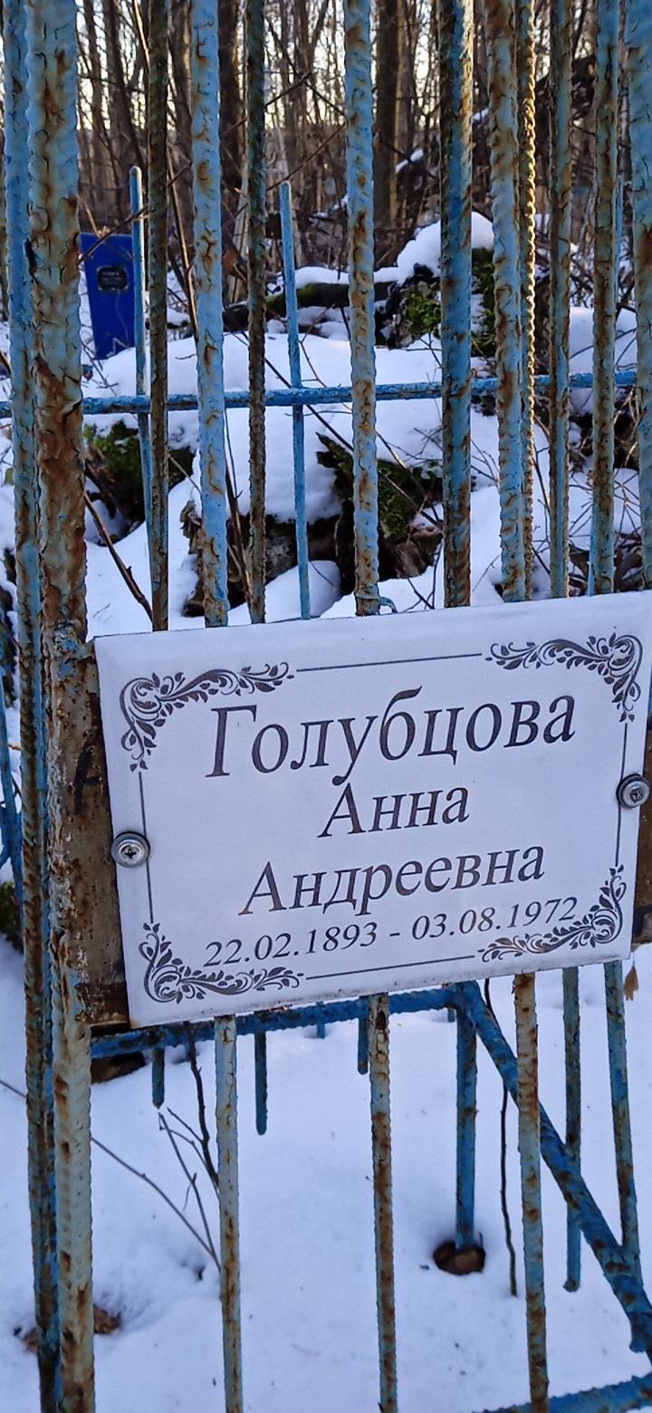 Голубцова Анна Андреевна