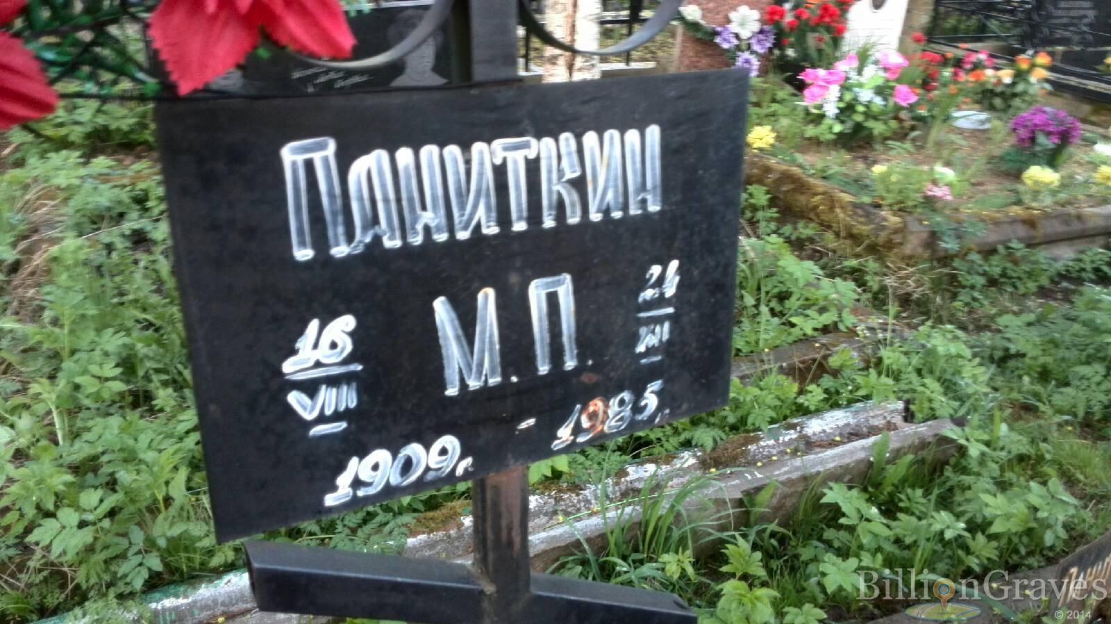Паниткин М. П.