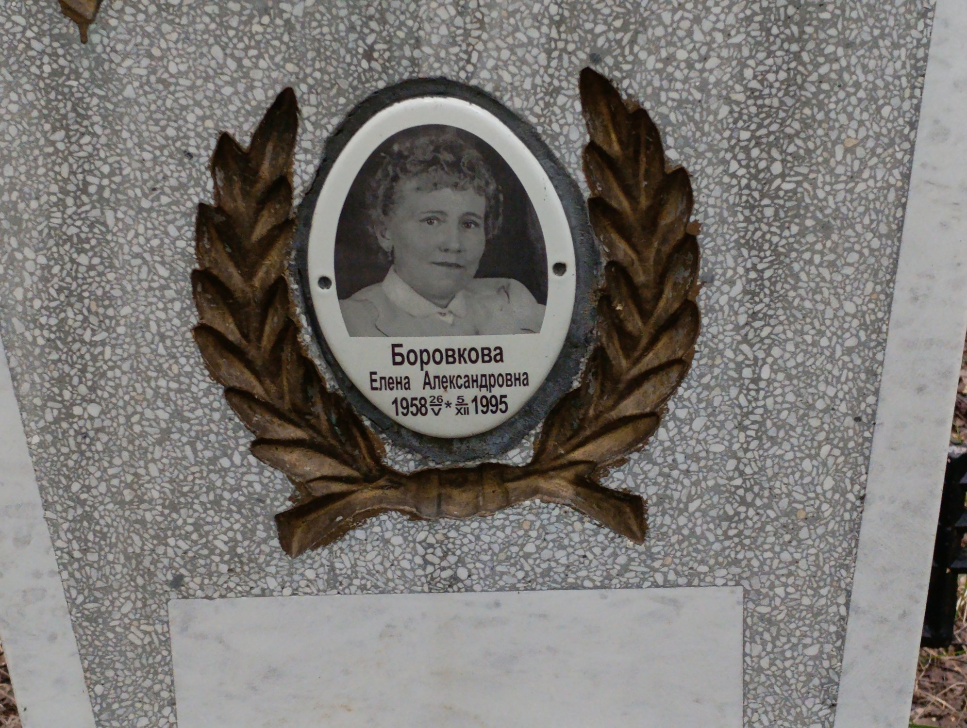 Боровкова Елена Александровна