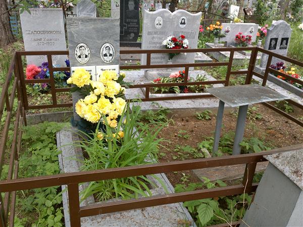 Чистяков Иван Васильевич