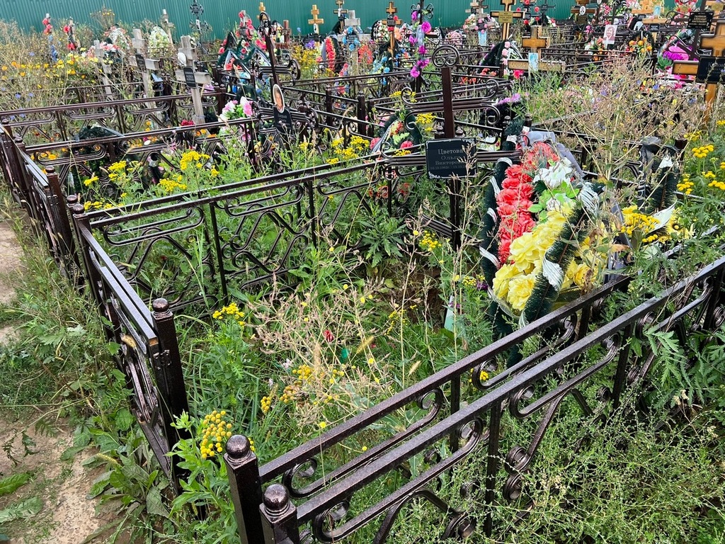 Цветова Ольга Викторовна