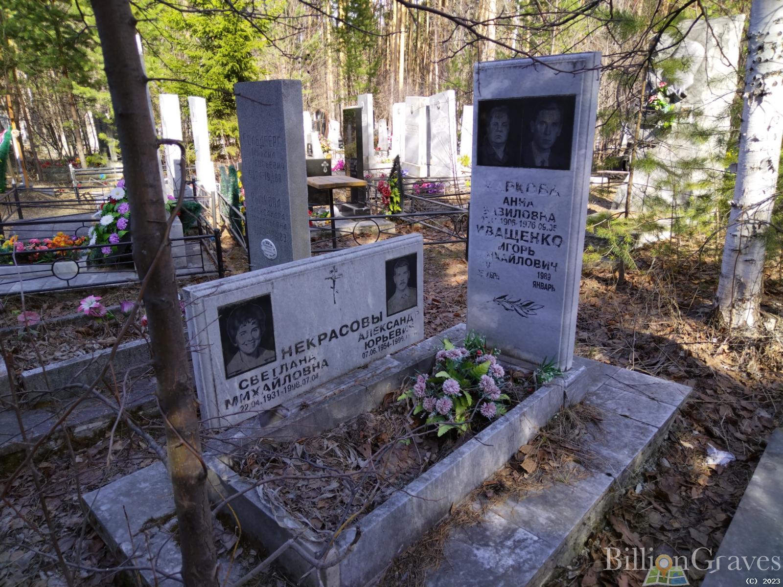 Жаркова Анна Вавиловна