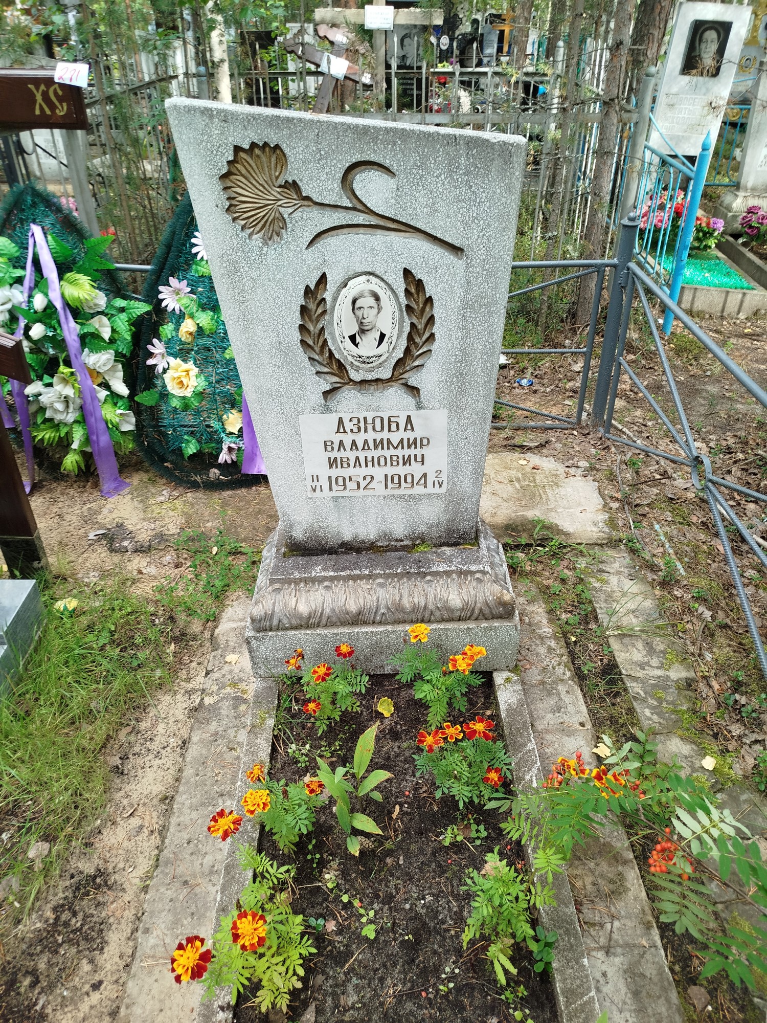 Дзюба Владимир Иванович