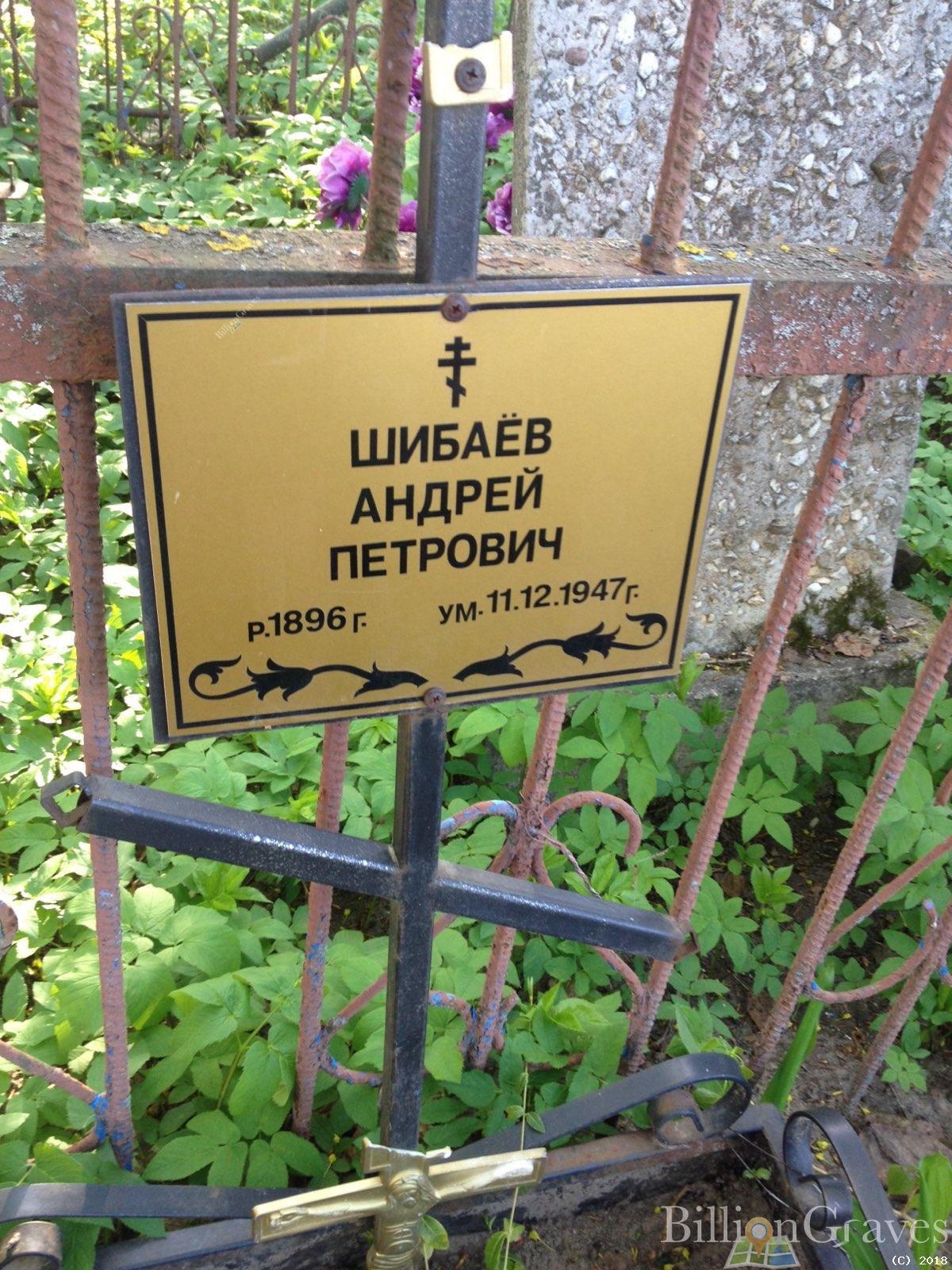 шибаёв андрей петрович