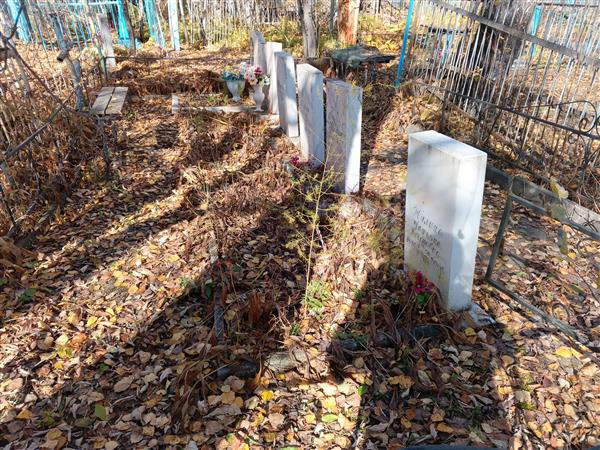 Жулин Александр Степанович