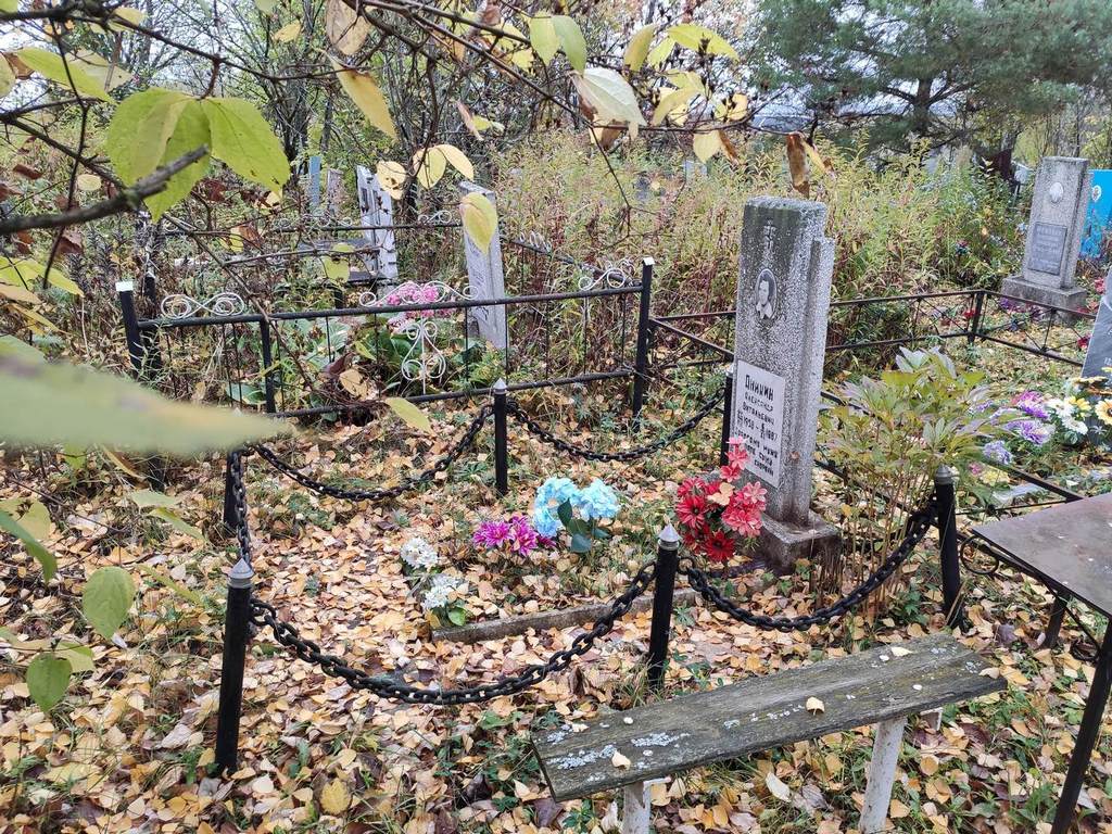 Аникин Александр Витальевич