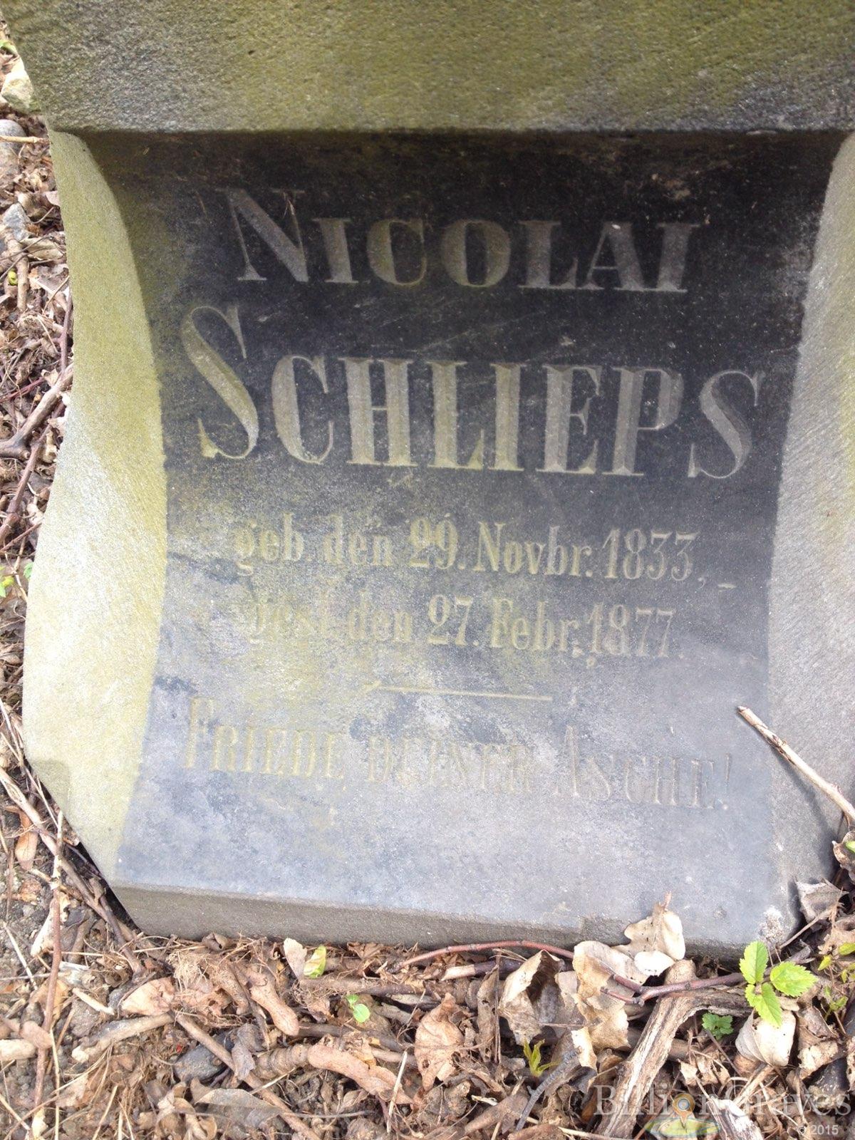 Schlieps Nicolai