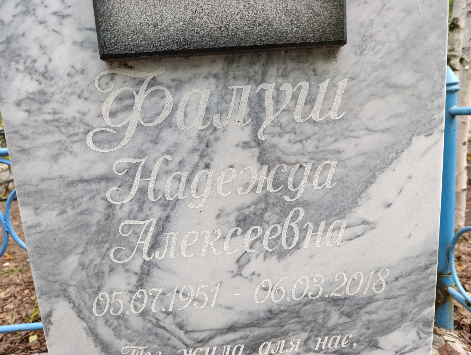 Фалуш Надежда Алексеевна