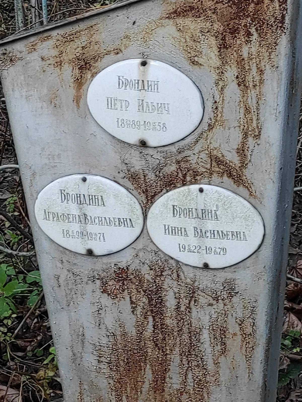 Брондина Аграфена Васильевна