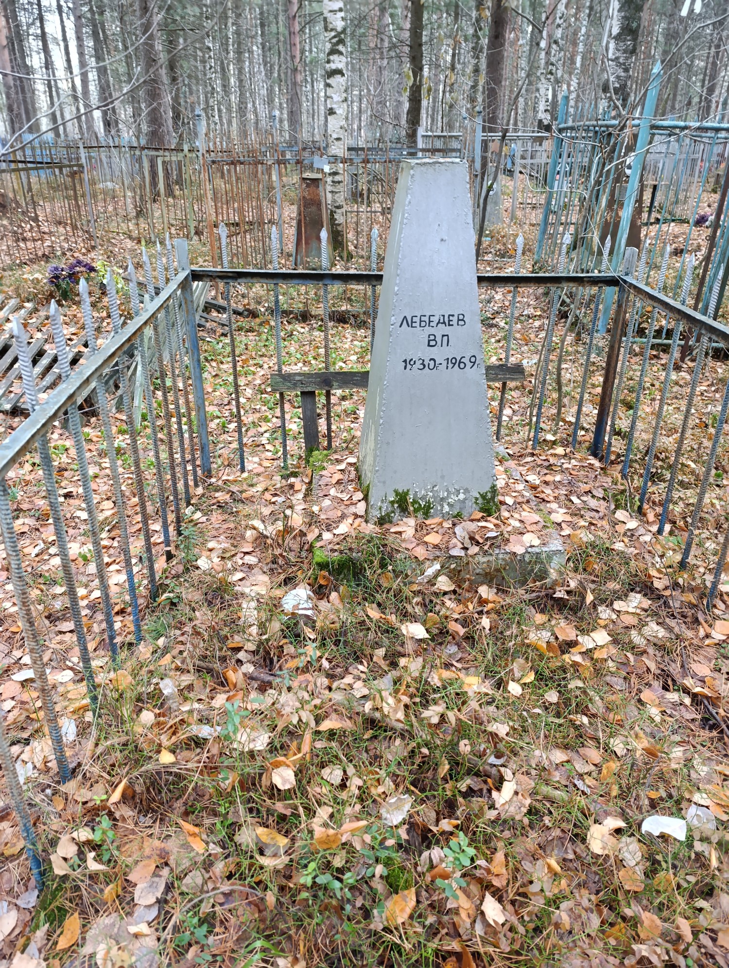 Лебедев В П