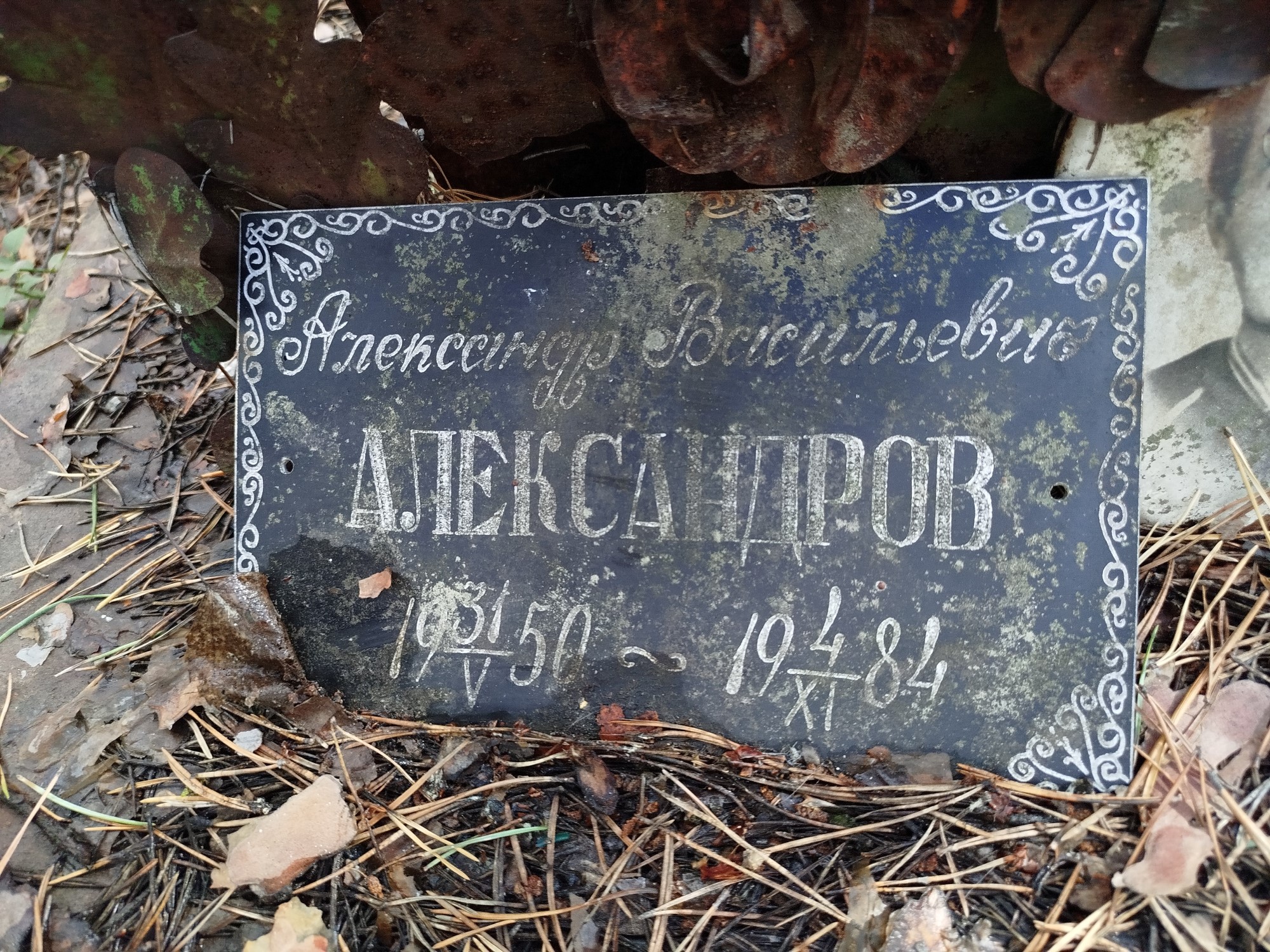 Александров Александр Васильевич