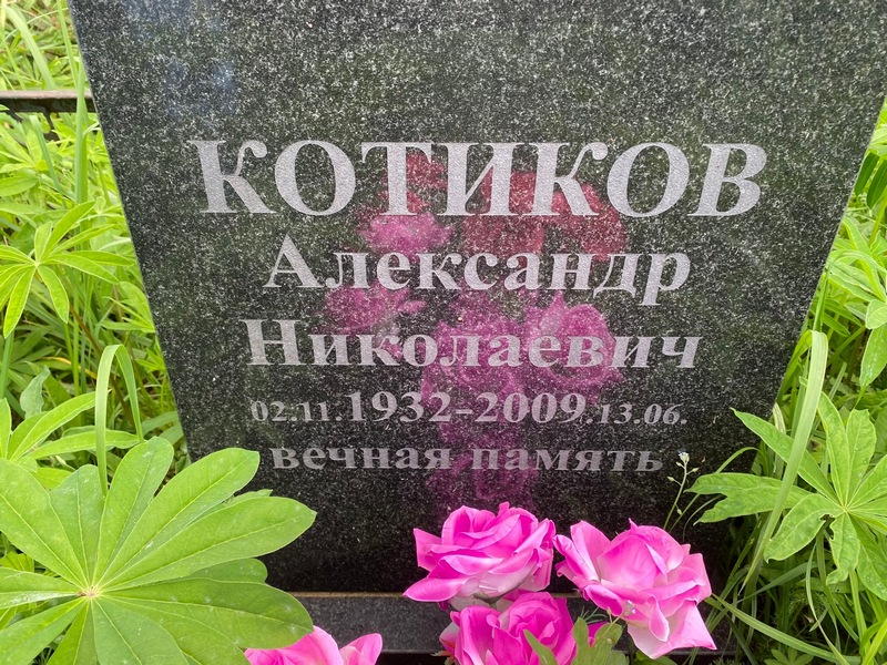 Котиков
