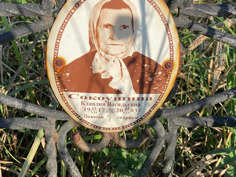 Сокоушина