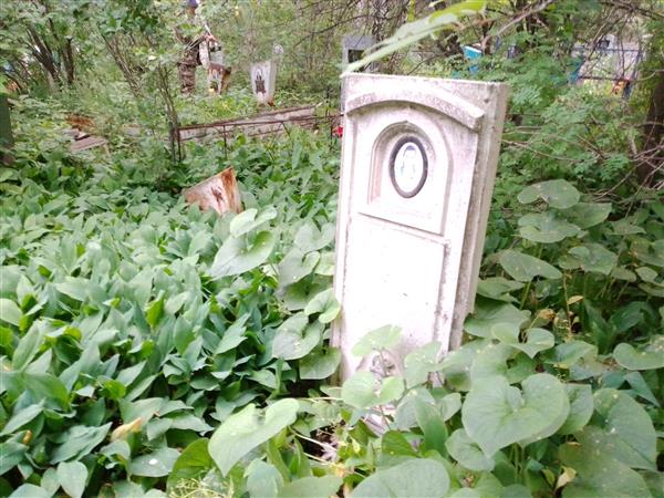 Чулак Рахиль Борисовна