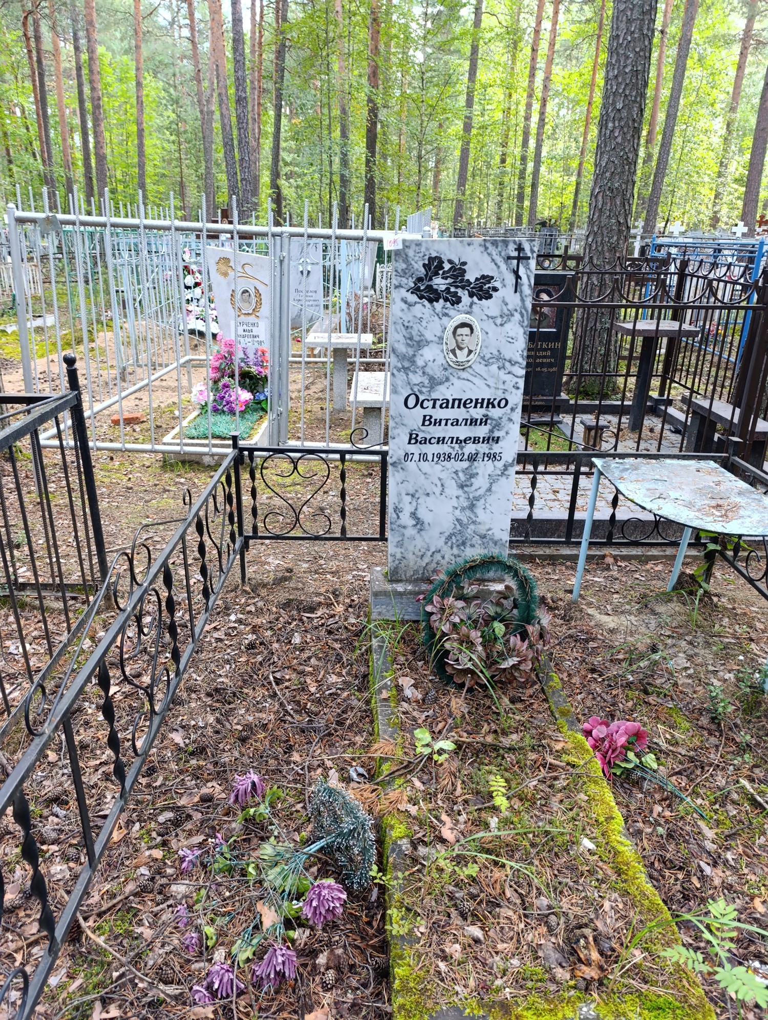 Остапенко Виталий Васильевич