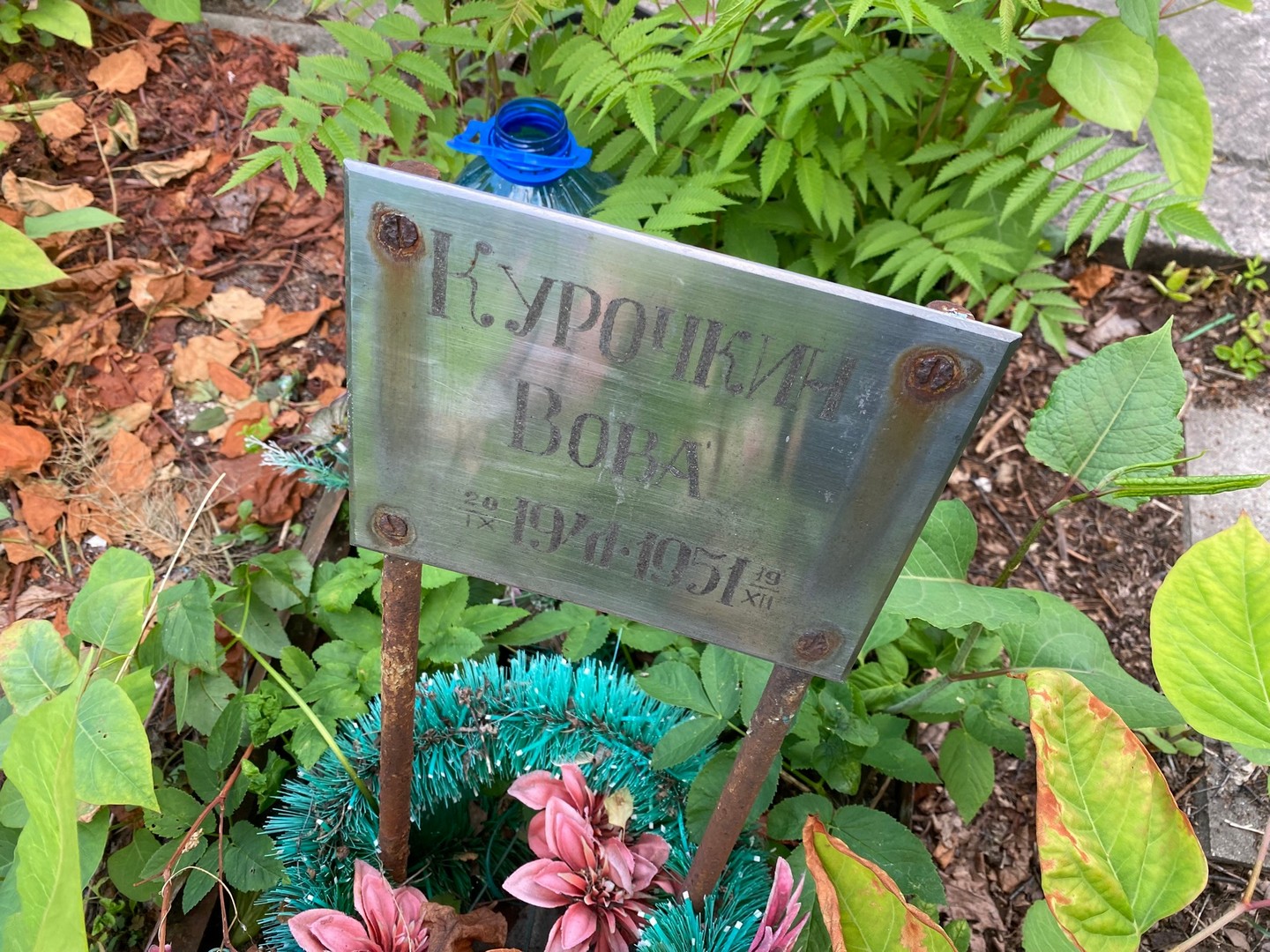 Курочкин Курочкин