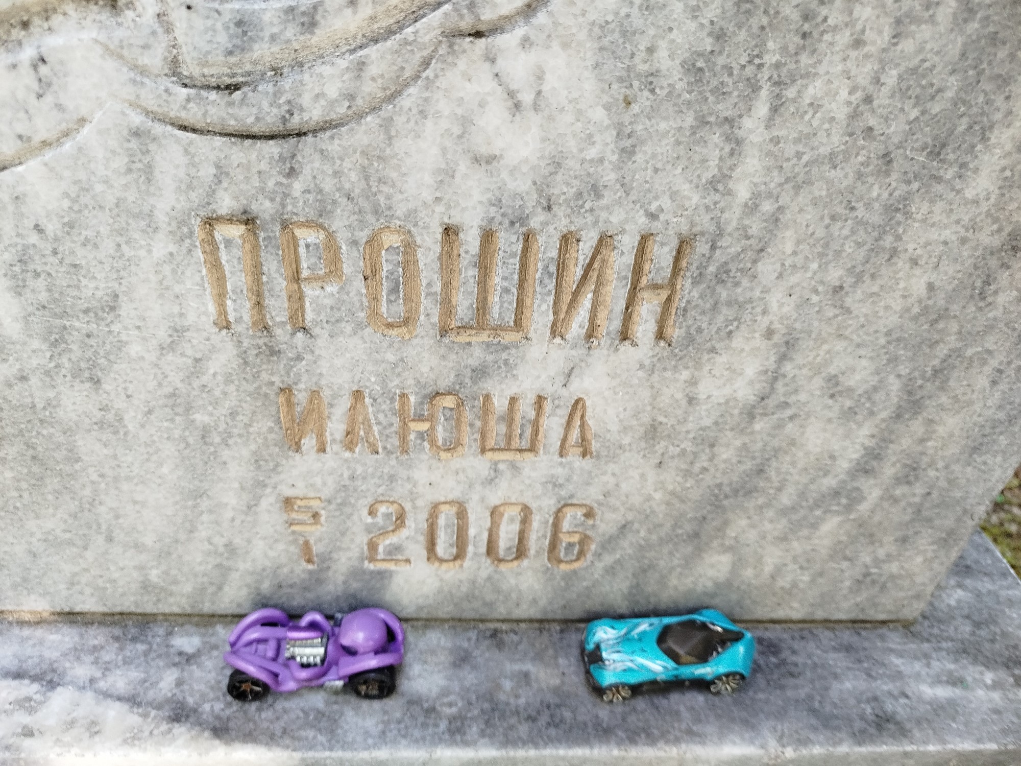 Рошин Илюша